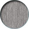 Silver Beech