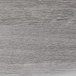 Silver Beech