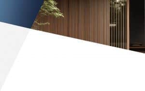 LYNX Accent Header
